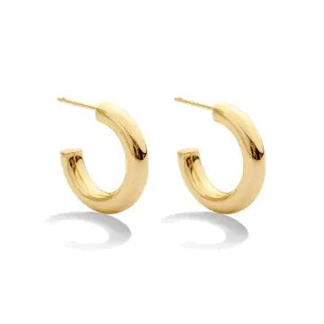 Gold Thick Small Hoop Earrings